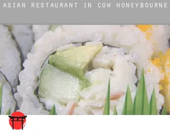 Asian restaurant in  Cow Honeybourne