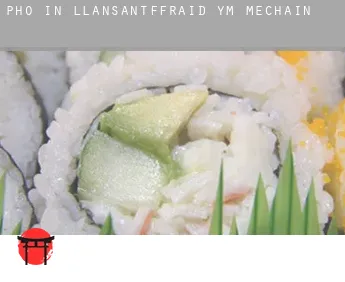 Pho in  Llansantffraid-ym-Mechain