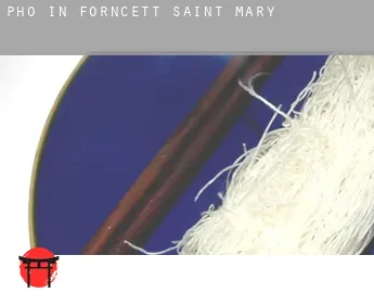 Pho in  Forncett Saint Mary